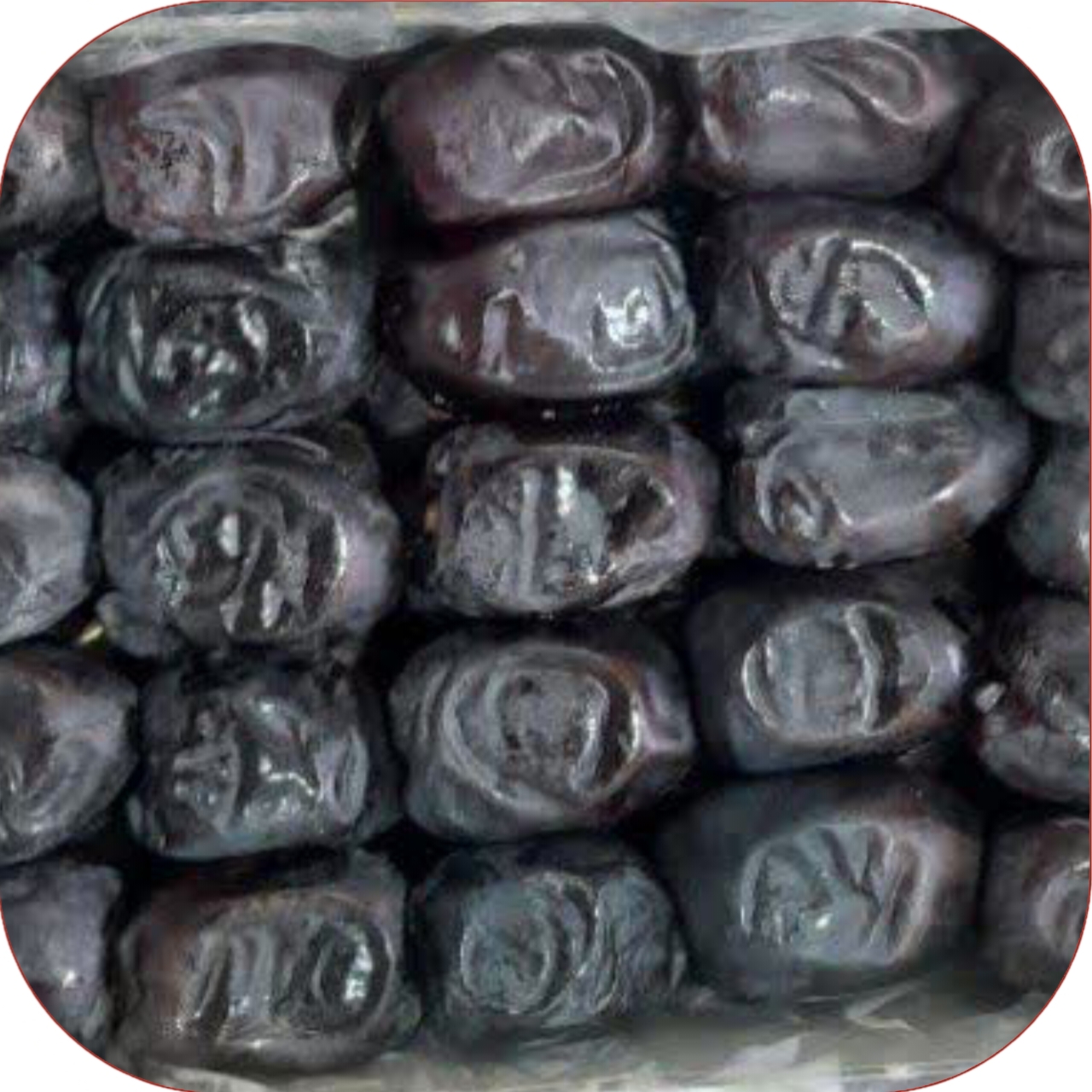رطب برحی